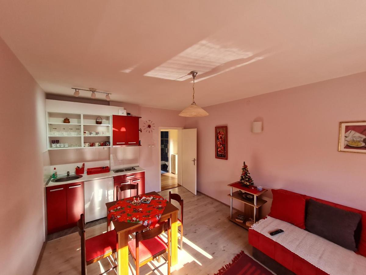 Apartman "Nina" Sokobanja Exterior foto