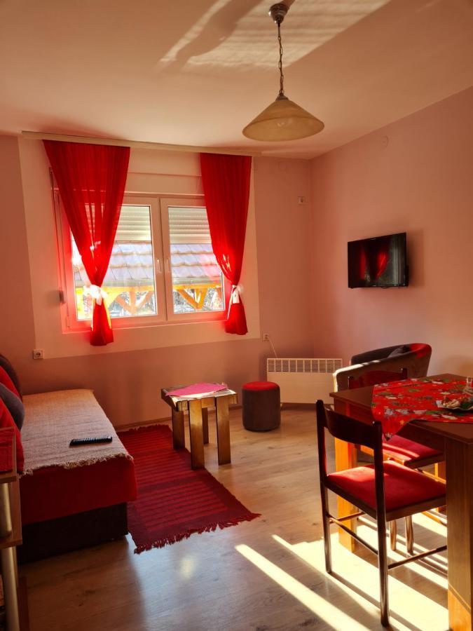 Apartman "Nina" Sokobanja Exterior foto